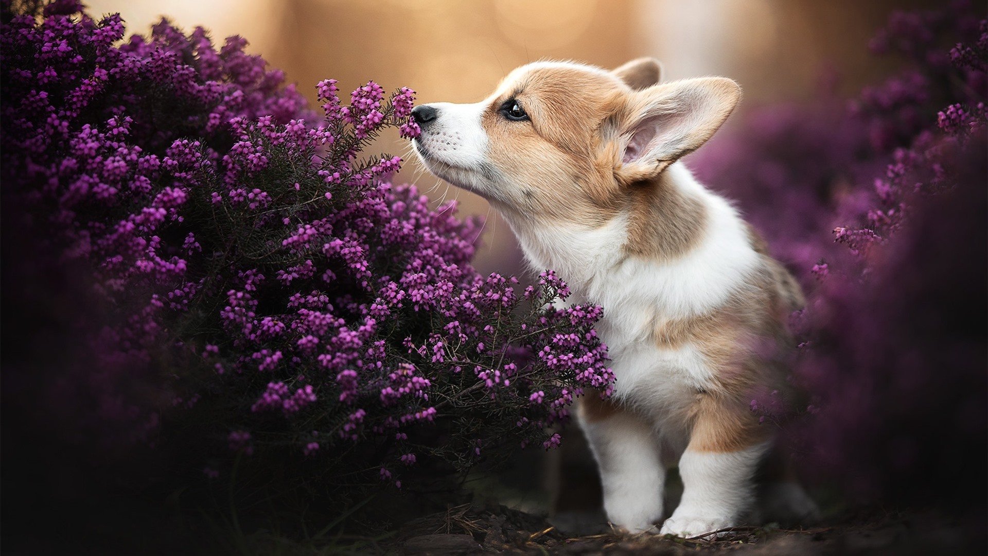 AYX SPORTS-“青春闪耀”青少年篮球明星集训营在天津全面展开，为未来领袖奠基